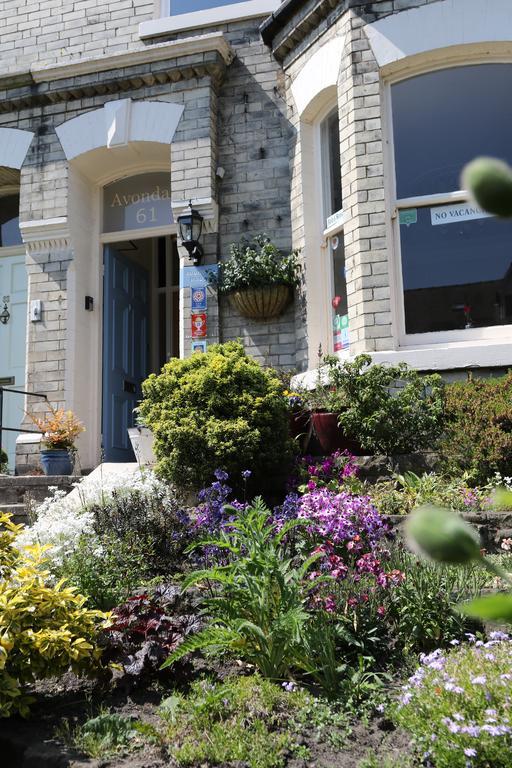 Guest house Avondale 3*